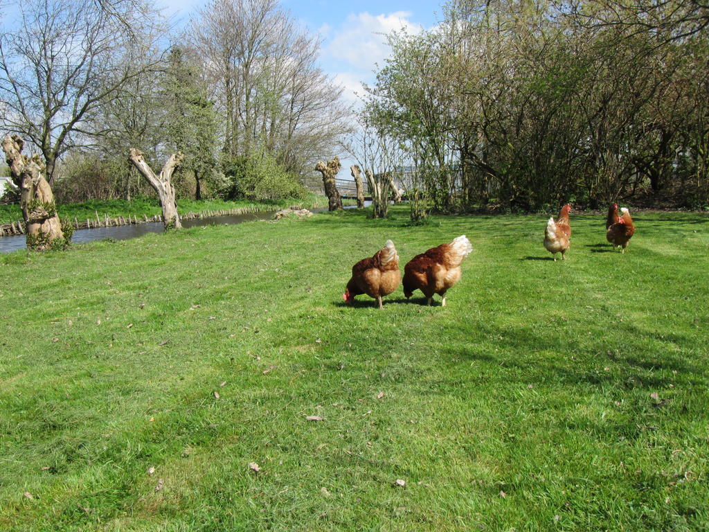 Bed&Brood De Straverdonk Graft Rom bilde