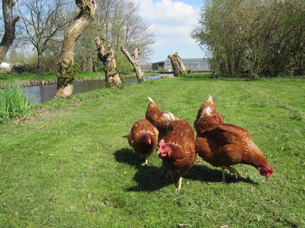 Bed&Brood De Straverdonk Graft Rom bilde