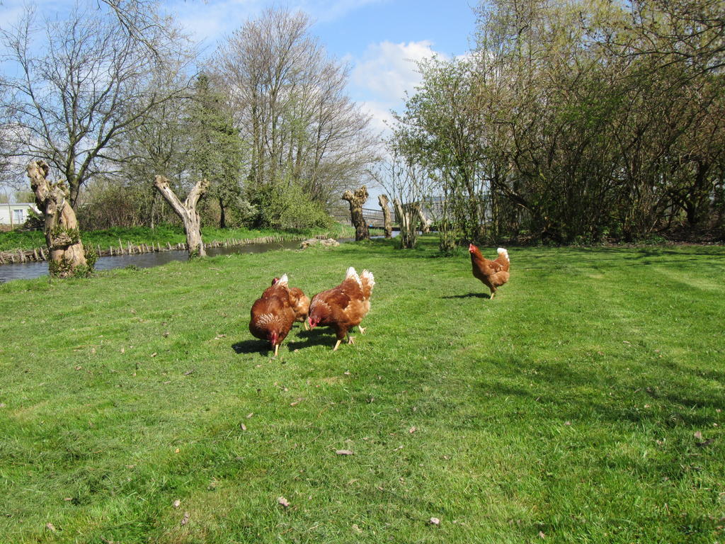 Bed&Brood De Straverdonk Graft Eksteriør bilde