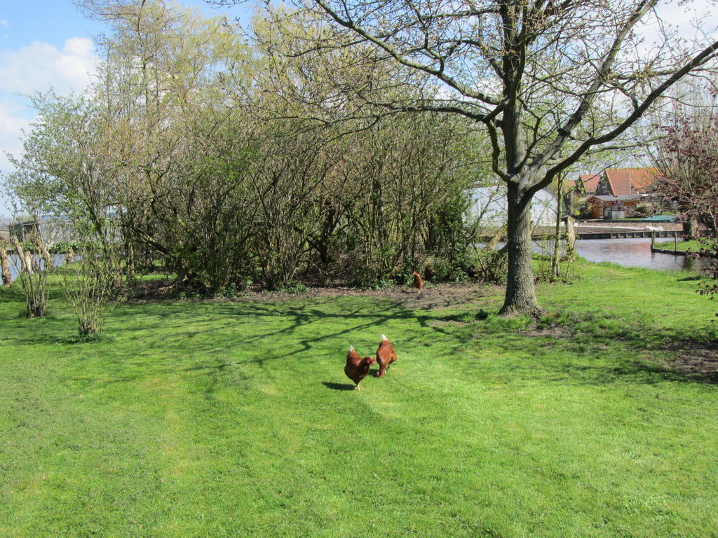 Bed&Brood De Straverdonk Graft Rom bilde