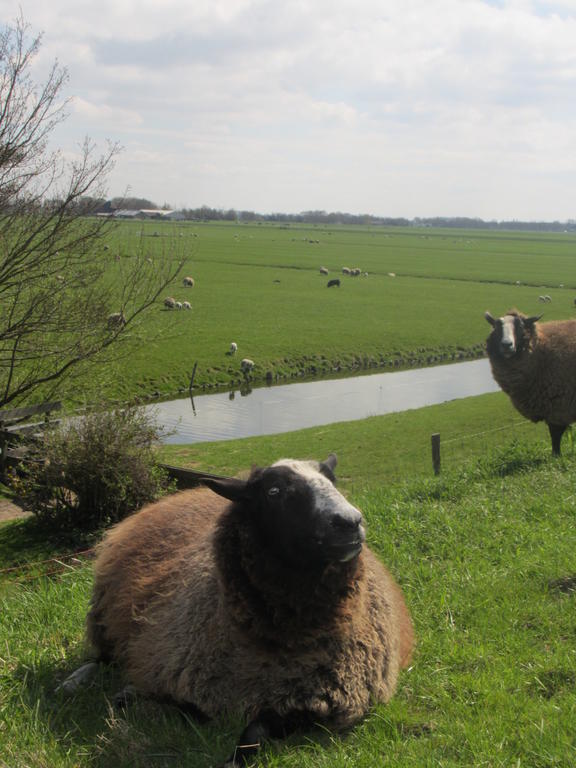 Bed&Brood De Straverdonk Graft Rom bilde