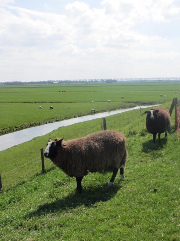 Bed&Brood De Straverdonk Graft Rom bilde