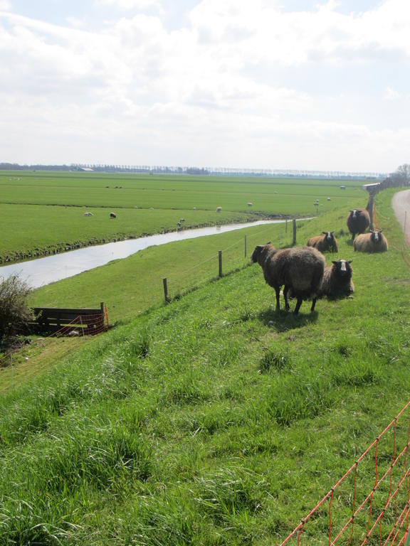 Bed&Brood De Straverdonk Graft Rom bilde